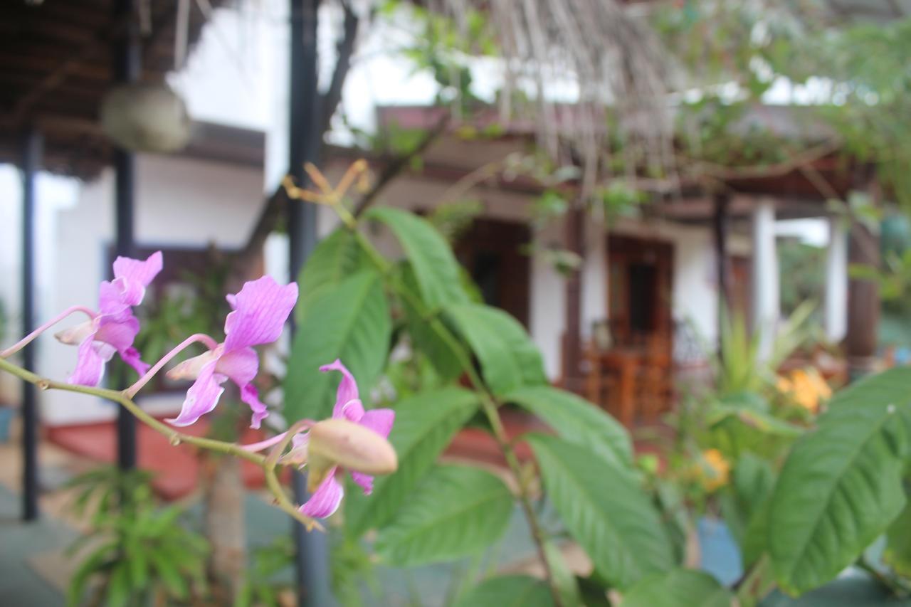 Julie Guest House Tangalle Exterior foto