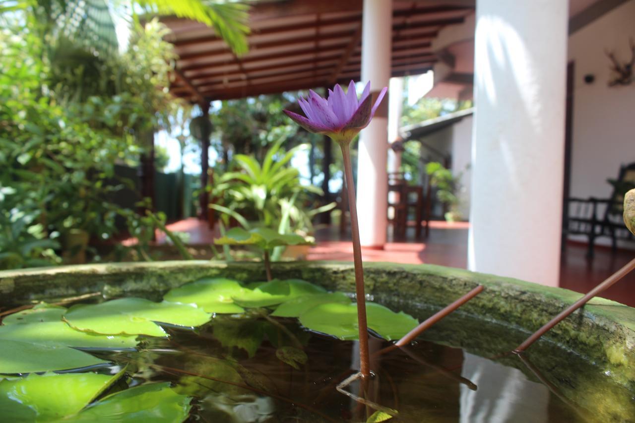 Julie Guest House Tangalle Exterior foto