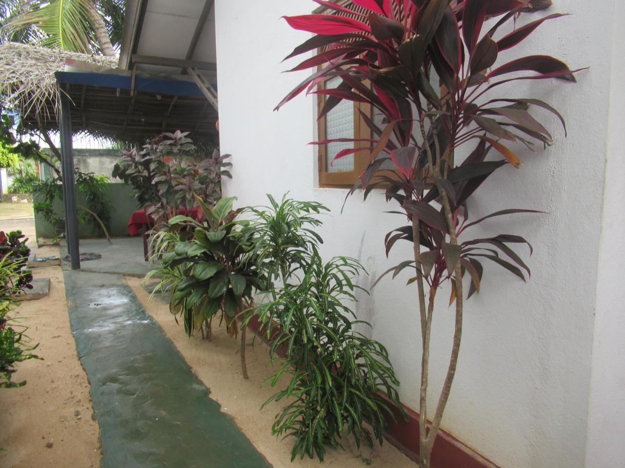 Julie Guest House Tangalle Exterior foto